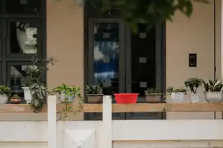 Aménagement paysager de terrasses et balcons