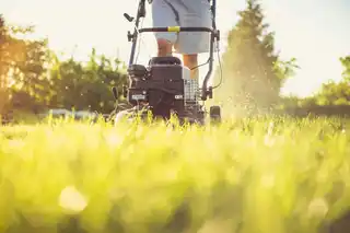 Déchaumage et fertilisation de la pelouse
